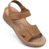 66-brown